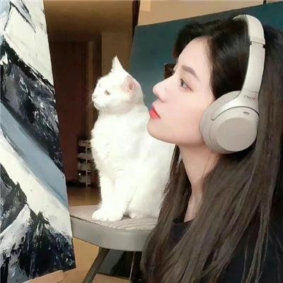 萌犬好声音3