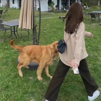 血腥风暴